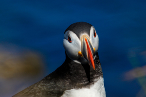 fotografia krajobrazu Islandia